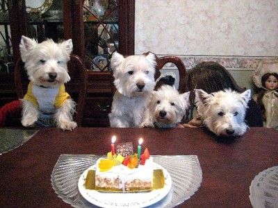 20080113-0117 024a.jpg