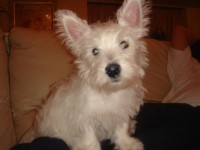 5月１５日 052.jpg