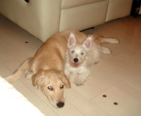 5月１５日 036_1.jpg