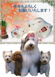 名称未設定 1_1.jpg